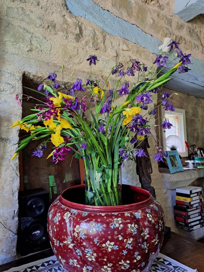 Bed and Breakfast Le Moulin Des Cavaliers La Rouquette Esterno foto